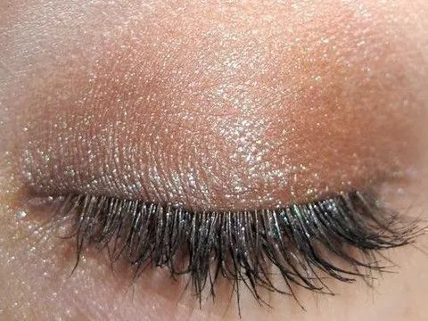 Cardamom Eyeshadow
