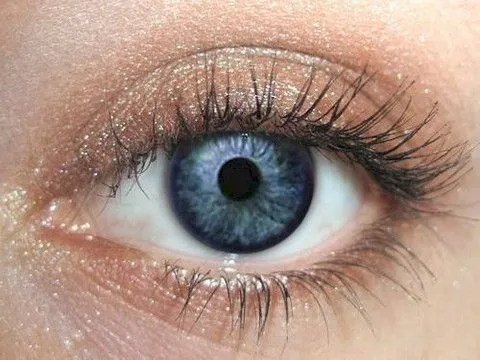Cardamom Eyeshadow