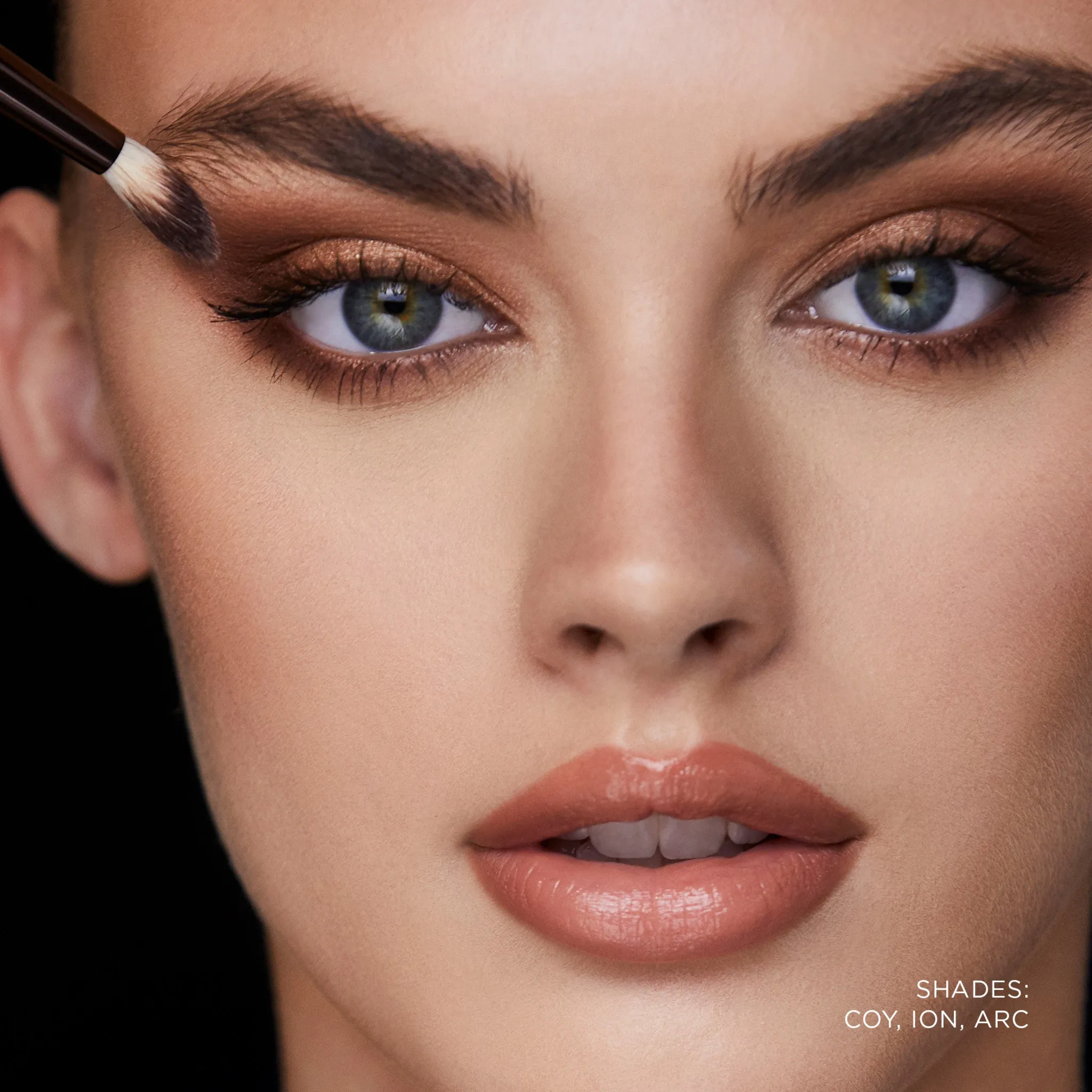 Curator Eyeshadow