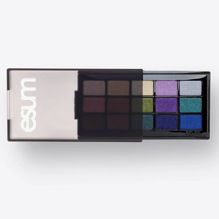 ESUM The Artistry Pigment Palette No4 Elevate