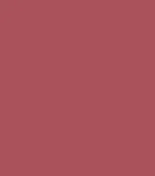 FA 24 - Focallure Waterproof Matte Liquid Lipstick (6gm)