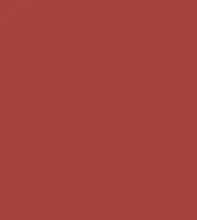 FA 24 - Focallure Waterproof Matte Liquid Lipstick (6gm)