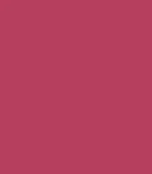FA 24 - Focallure Waterproof Matte Liquid Lipstick (6gm)