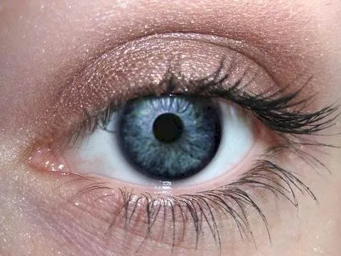 Hot Chocolate Eyeshadow