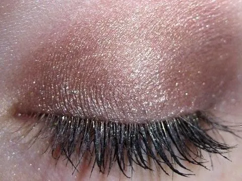 Hot Chocolate Eyeshadow