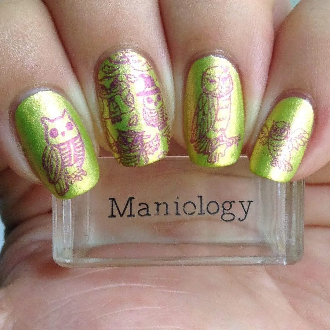 Thriller (B348) - Holographic Fuchsia Stamping Polish