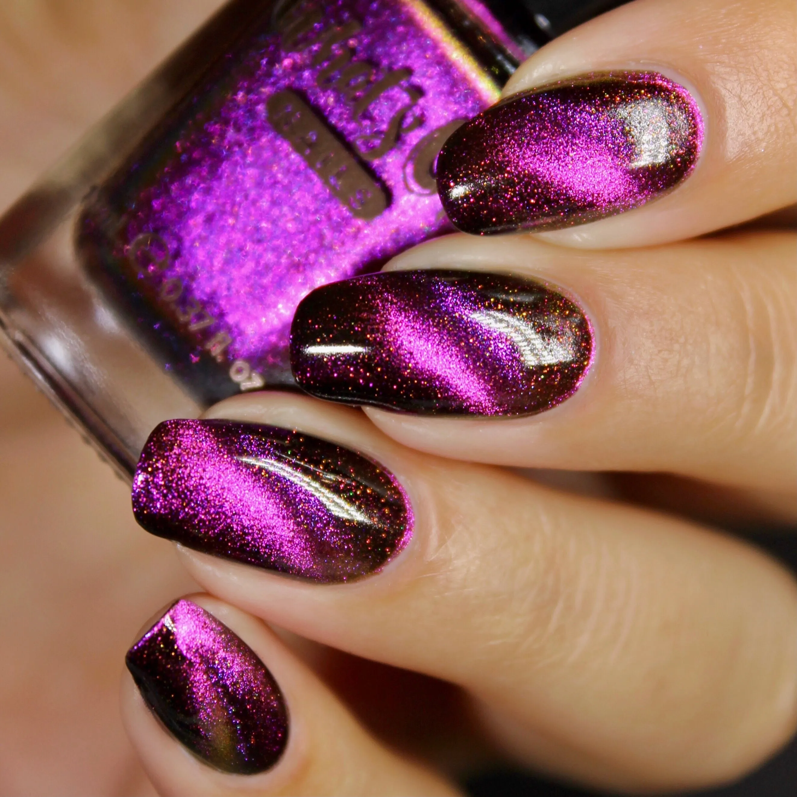 Whats Up Nails - Shorter Days Collection (6 Nail Polishes)