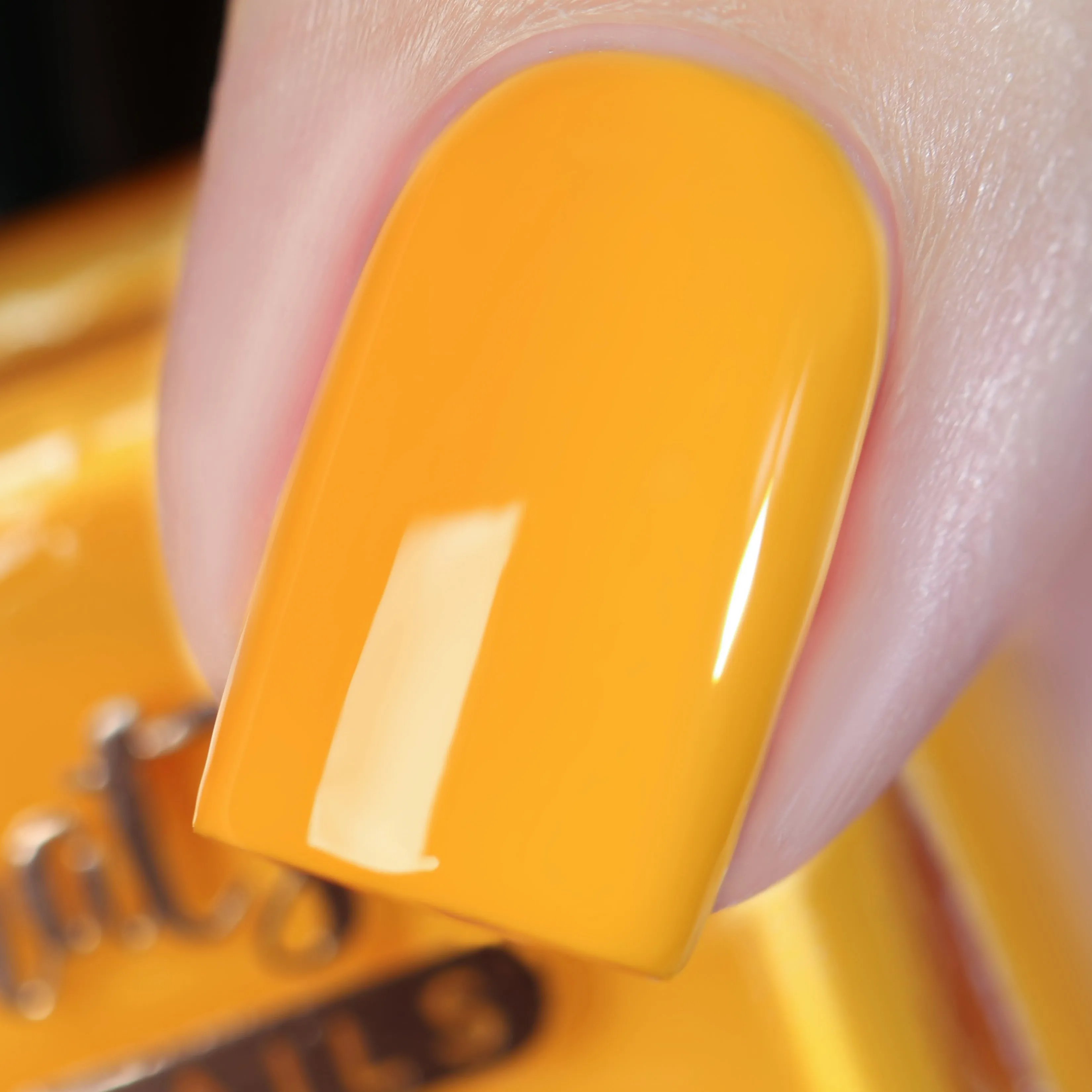 Whats Up Nails - Shorter Days Collection (6 Nail Polishes)
