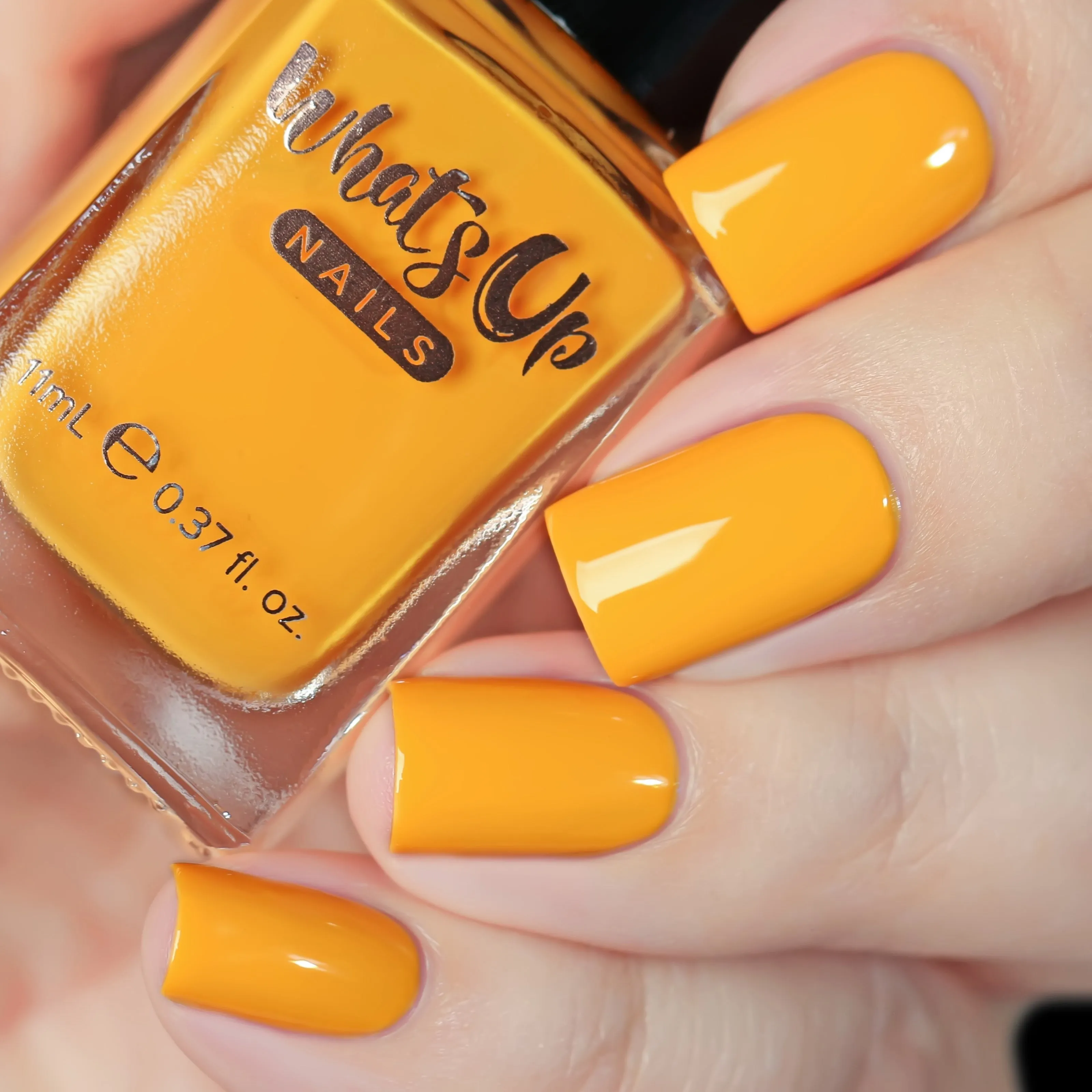 Whats Up Nails - Shorter Days Collection (6 Nail Polishes)