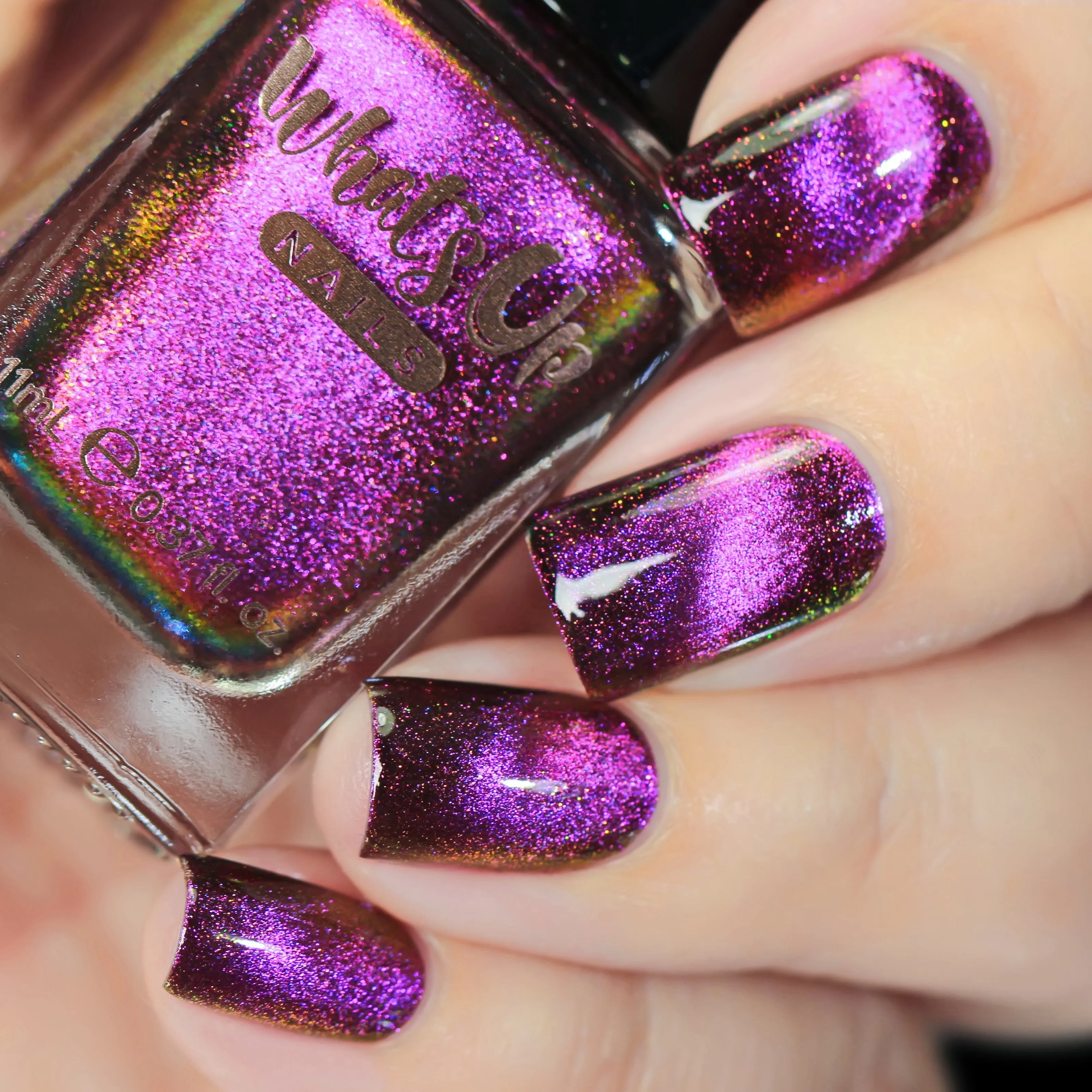 Whats Up Nails - Shorter Days Collection (6 Nail Polishes)