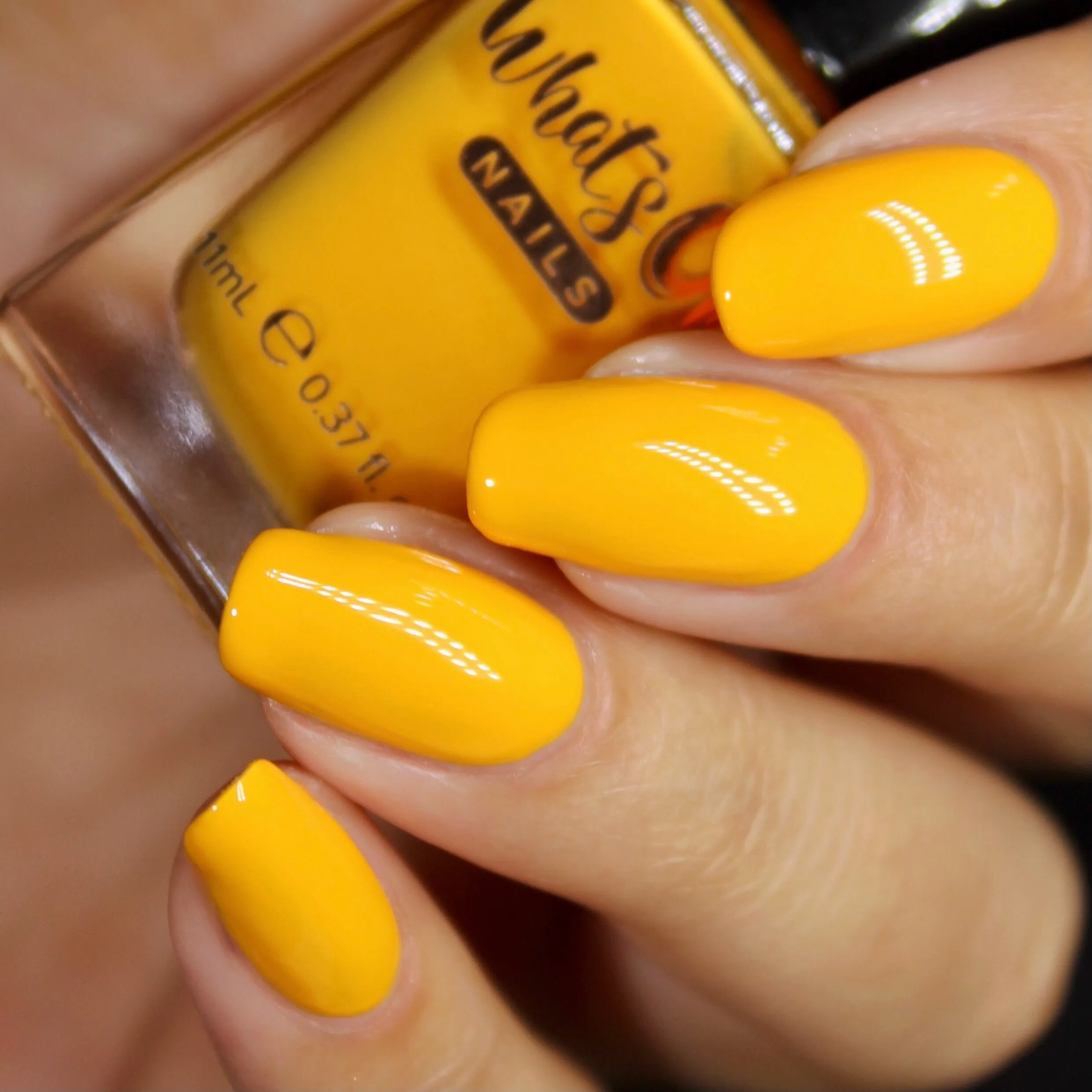 Whats Up Nails - Shorter Days Collection (6 Nail Polishes)