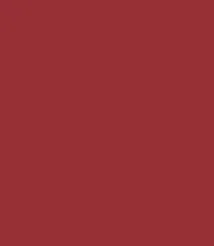 Zayn & Myza Transfer-proof Power Matte Lipstick (3.2g)