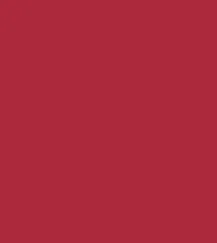 Zayn & Myza Transfer-proof Power Matte Lipstick (3.2g)