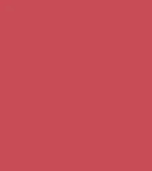 Zayn & Myza Transfer-proof Power Matte Lipstick (3.2g)