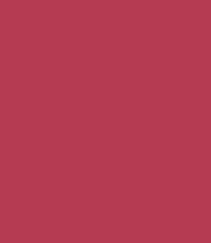 Zayn & Myza Transfer-proof Power Matte Lipstick (3.2g)