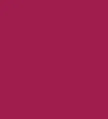 Zayn & Myza Transfer-proof Power Matte Lipstick (3.2g)