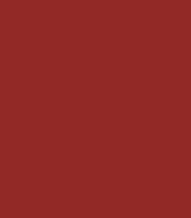 Zayn & Myza Transfer-proof Power Matte Lipstick (3.2g)