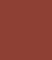 Zayn & Myza Transfer-proof Power Matte Lipstick (3.2g)