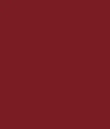 Zayn & Myza Transfer-proof Power Matte Lipstick (3.2g)