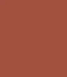 Zayn & Myza Transfer-proof Power Matte Lipstick (3.2g)